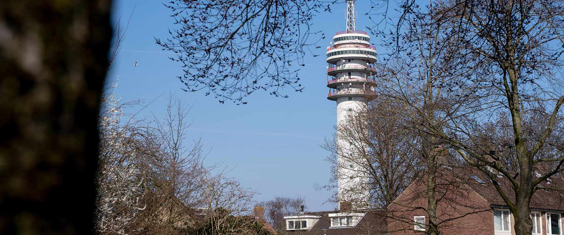 Header Wijken en dorpen